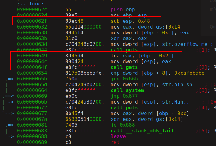 Vulnerable Input Function, From User Directly into Static Allocated Memory.